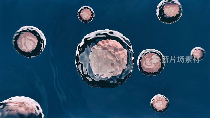 Computer modeling of the stem cell nucleus and membrane